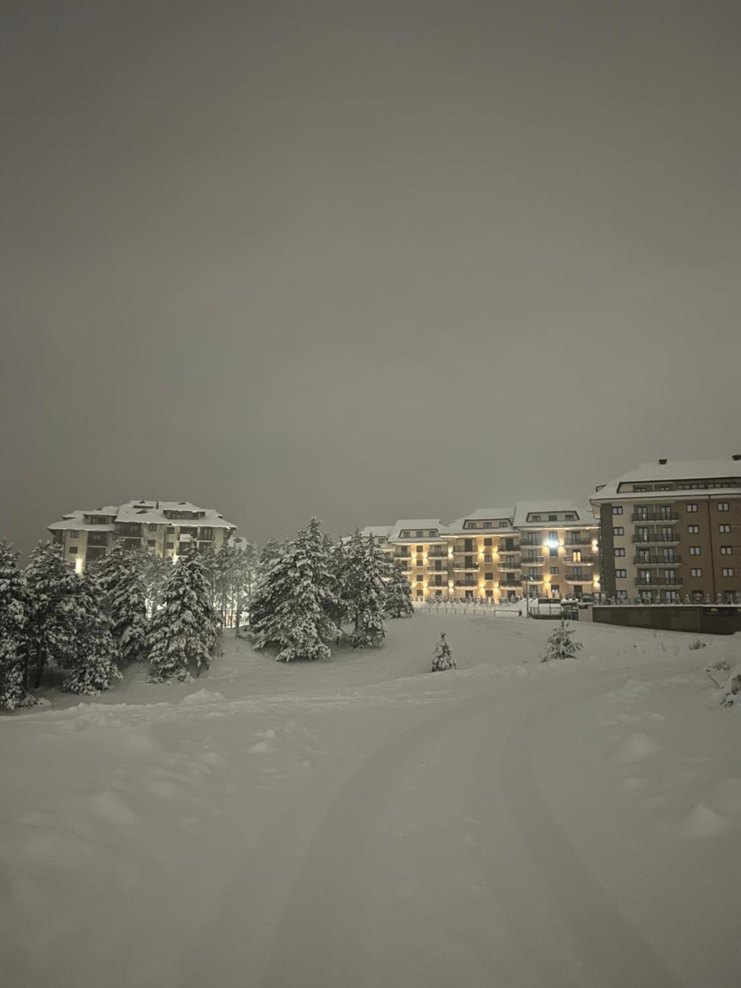 Dream Garden Apartments Zlatibor Luaran gambar